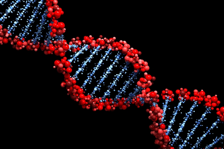 3 Discoveries You’ll Unlock with DNA Testing